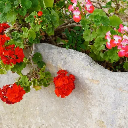 Bed & Breakfast Casina Mozart Lecce